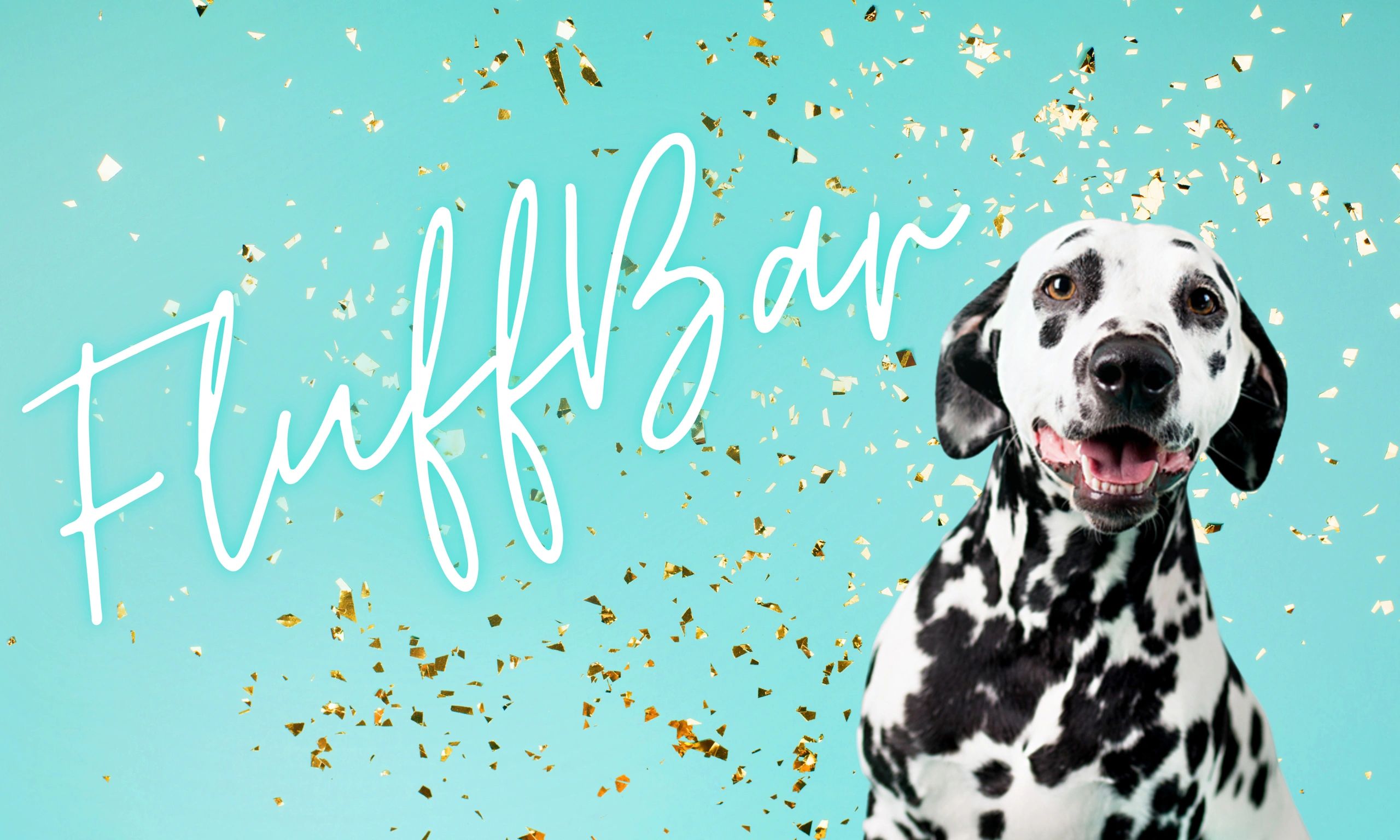 pet-salon-dog-groomer-fluff-bar-scottsdale-arizona